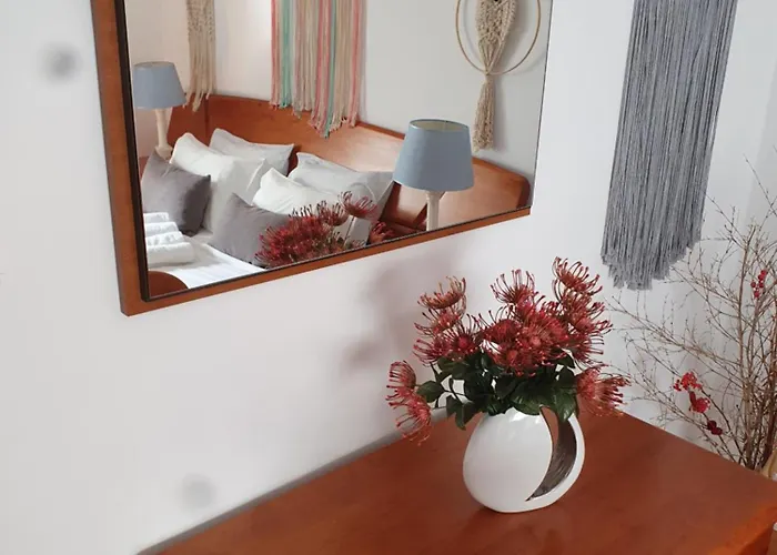 Casa Da Tina Conforto Familiar No Sitio Da Apartment